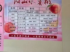 -老袁家蜜桃农场·阳山水蜜桃