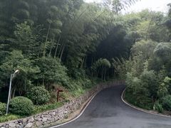 -宁海安岚·南溪阁全日餐厅