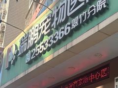 -瑞鹏宠物医院·微创内窥镜·骨外科·牙科(翠竹分院)