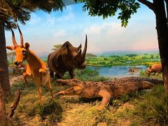 -国家自然博物馆