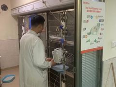 -动物缘宠物医院·骨科·猫科(西二环店)
