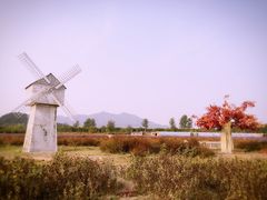 -北京东方普罗旺斯薰衣草庄园