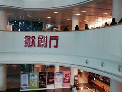 -合肥大剧院