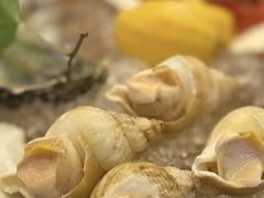 -普朗姆生蚝牛排馆 The Plump Oyster(成都摩方购物中心店)