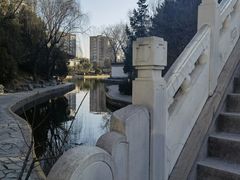 -团结湖公园