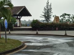 -东寨港红树林旅游区