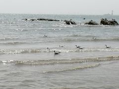 -老虎石海上公园