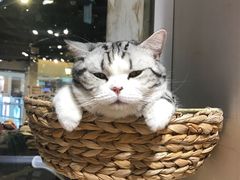 -小时光咖啡馆(开森度假森林店)