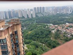 -重庆彩云湖湿地公园