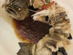 -博雅渔港·融合菜(维也纳国际大酒店)