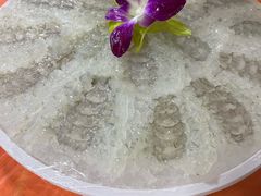 -成发鱼生