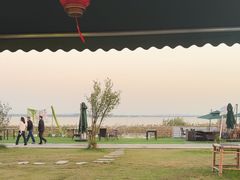 -七的湖·晚芳亭·阳澄湖农家菜·大闸蟹(莲花岛店)