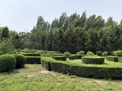 -沈阳鸟岛