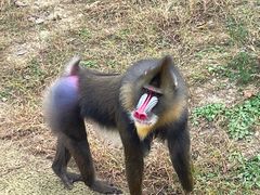 -杭州野生动物世界