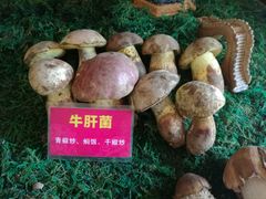 -朱家小厨(红塔西路店)