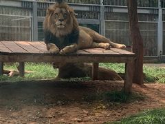 -昆明动物园