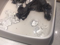 -海底捞火锅(亲子主题北金鹰店)