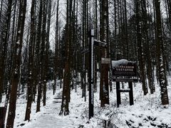 -山王坪喀斯特国家生态公园