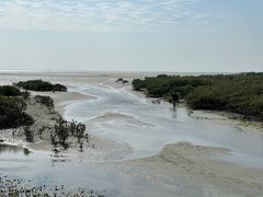 -北海金海湾红树林生态旅游区