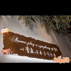 点击看大图 -芳香乐府SPA·五行芳疗