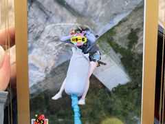 -梦幻奥陶纪景区