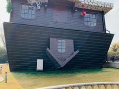 -金山农民画村-枫泾波兰倒置屋