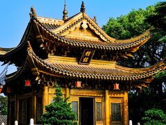 -上海东林寺(金山区)