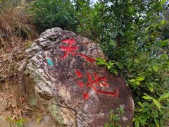 -青龙山国家森林公园