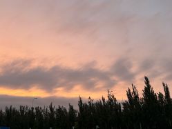 -XIDANCE·喜舞智能零舞