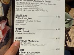 -毛辣果·酸(OHA复兴西路店)