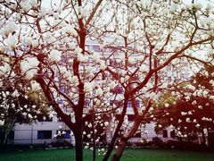 -上海市第八中学