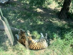 -大连森林动物园