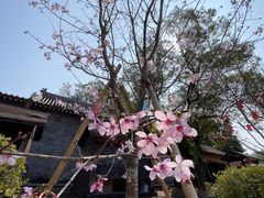 -粤晖园