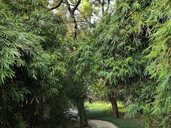 -长广溪湿地公园