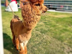 -海尔世界家电博物馆