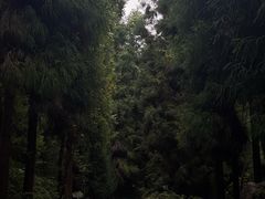 -太阳湾风景区