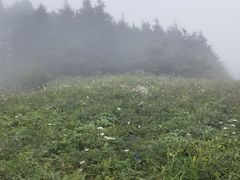 -白草畔自然风景区