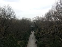 -灵谷景区