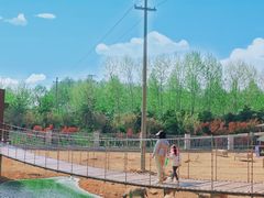 -日照海滨国家森林公园