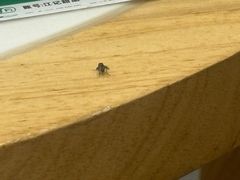 -江记甜品(罗湖店)