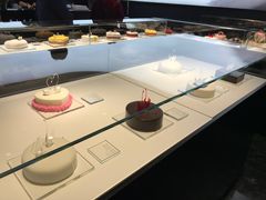 -BLACKSWAN黑天鹅(环球店)