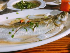 太湖白鱼-太湖好灶头土菜馆(石公路店)