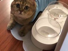 -傣妹火锅(四川北路店)