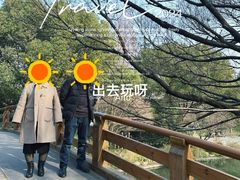 -西湖游船