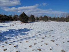 -东郊湿地公园