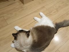 -CoCo都可(湖滨银泰店B区店)