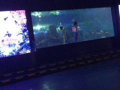 -重庆欢乐海底世界