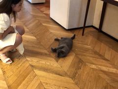 -Me Coffee下午茶艺术空间