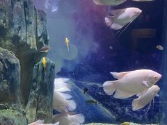-常州海昌海洋探索馆