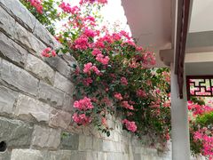 -小南山公园